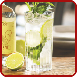 Kit de Cocktail The Cocktailist – Virgin Mojito
