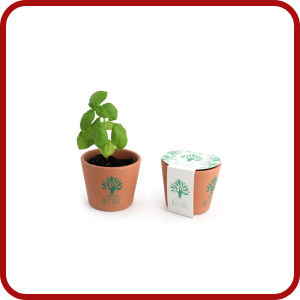 Kit de plantation